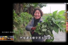 一步一腳印_20150118_410_3(TVBS DMDD) - YouTube (1080p)_201551312317